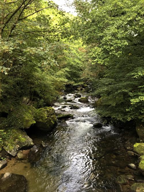 water2.jpeg_1569856250